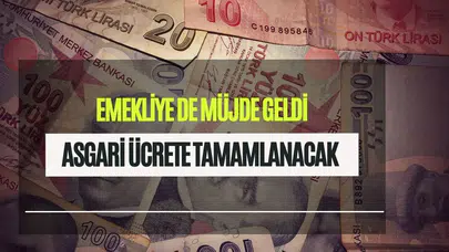 Beklenen oldu! Emekliler de dahil her haneye asgari gelir garantisi geliyor: İşte Vatandaşlık Maaşı başvuru tarihi