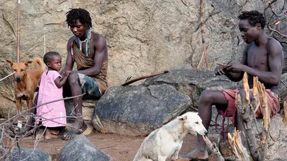 Av, bal ve dayanışma: Hadza’nın binlerce yıllık yaşam formülü!