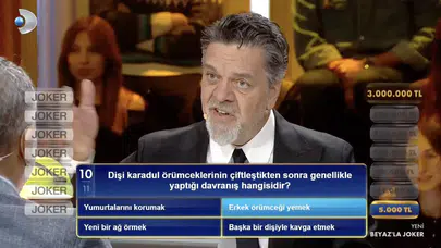 Beyaz’la Joker karadul örümceği sorusunun cevabı ne? yumurtalarını korumak mı, erkek örümceği yemek mi, yeni bir ağ örmek mi, başka bir dişiyle kavga etmek mi?