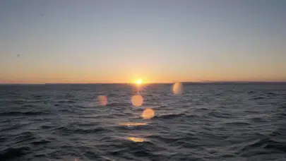 Bodrumlu süngerci Aksona’nın belgeseli izleyiciyle buluştu