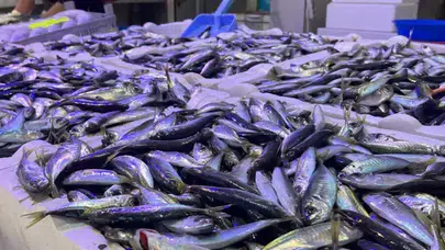 İstanbul’da Taht Değişti! Hamsi Yerini İstavrite Bıraktı