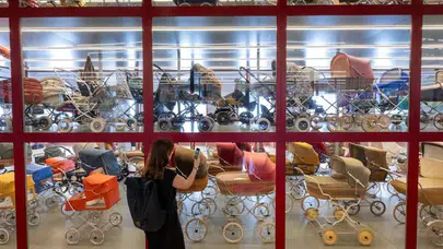 Doğum Oranı Düşünce Tarihi Marka Zekiwa İflas Etti