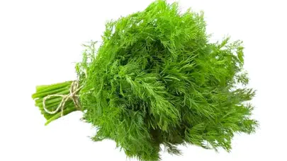 Dereotu kalorisi ne kadar, diyet yapanlar için uygun mu? Yeşillikler arasında öne çıkan değerler