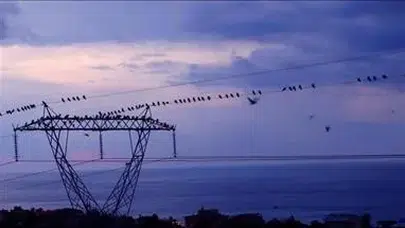 17 Şubat İzmir Elektrik Kesintisi Hangi İlçelerde Var, Menderes, Torbalı, Kemalpaşa’da Elektrikler Ne Zaman Gelecek?