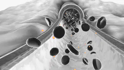 Trigliserid nedir, trigliserid yüksekliği neden olur ve trigliserid nasıl düşürülür?