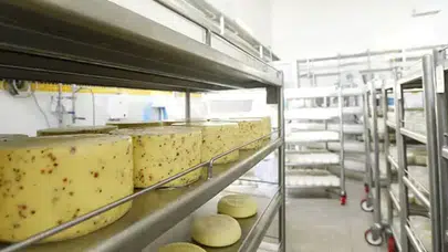 Gündoğdu Gıda neden üretimi durdurdu, Manisa’daki fabrika kime satılıyor?