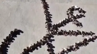 Adıyaman’da Ramazan Genelgesi Sonrası Anlamlı Koreografi: Öğrenciler Hz. Muhammed (s.a.v) İsmini Yazdı