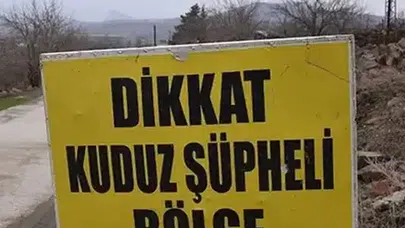 “Kuduz Patlaması” İddialarına İstanbul Valiliği’nden Yanıt!