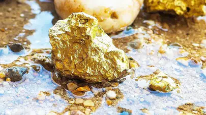 Kanadalı Firmadan Surinam’da Yüksek Tenörlü Altın Bulundu!