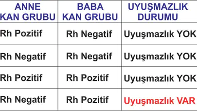Hangi Kan Grupları Evlenemez? Evlilikte Kan Uyuşmazlığı Hangi Gruplarda Görülür, Aynı Kan Grubunda Olur mu?