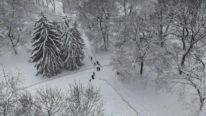 ABD’de Kar Felaketi! 30 Milyon Kişi Etkilendi, Binlerce Uçuş İptal