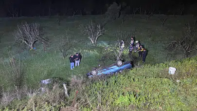 Aydın'da feci kaza! Domuz yola fırladı, otomobil uçuruma düştü