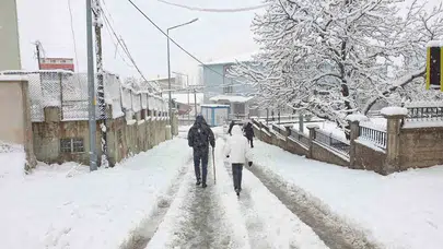 Van’da kar ve sis bir arada! 141 yerleşim yerinin yolu kapandı