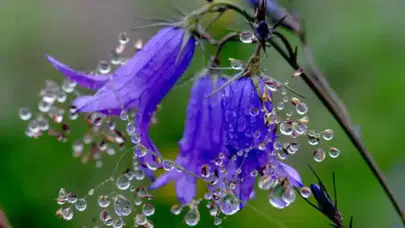 İlk cemre ne zaman düşecek, 2026 cemre tarihleri hangi günlere denk geliyor, havalar ne zaman ısınacak?