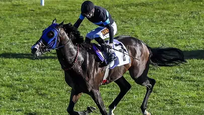 Meclis’te 100 Milyonluk At Bombası! 'Atlar Yok' İddiası Gündemi Sarstı