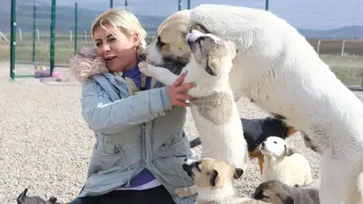 Buket Özgünlü Ne İş Yapıyor, Patiliköy Kurucusu Tutuklandı mı, Neden Gözaltına Alındı?