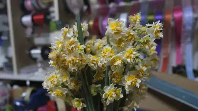 Nergis çiçeği fiyatları ne kadar, kış aylarında neden talep artıyor, hangi aylarda satılıyor?