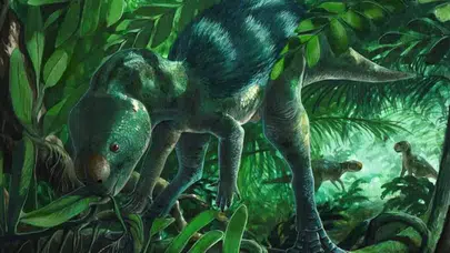 İspanya’da Foskeia pelendonum adlı yeni dinozor türü keşfedildi!