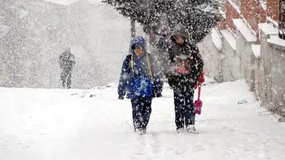 Yoğun Kar Muş’u etkisi altına aldı! Eğitime ara verildi