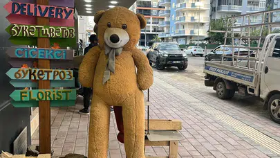 Alanya'da şok olay! 100 TL’ye 5 bin TL’lik ayıyı çaldılar