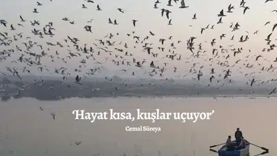 “Hayat Kısa Kuşlar Uçuyor”un Anlamı Ne? Cemal Süreya’nın Unutulmaz Şiiri