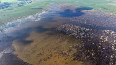 Kuruyan göl havzasında umut veren görüntü