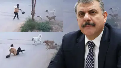 Çiftçi Bakan Oldu, Erzurum’daki Sokak Köpeği Modeli Gündeme Taşındı!