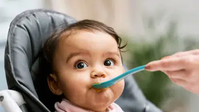 Bebek mamalarında sereulid toksini nedir, eşik değer neden düşürülüyor, EFSA ne öneriyor?