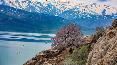 Van 21 Şubat 2026 Cumartesi Hava Durumu Nasıl Olacak?