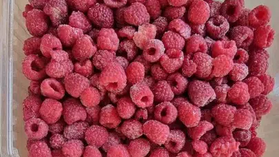 Dondurulmuş Ahududu günlük protein ihtiyacının ne kadarını karşılar, kilo aldırır mı, hangi vitamin ve mineralleri içerir, kalorisi?