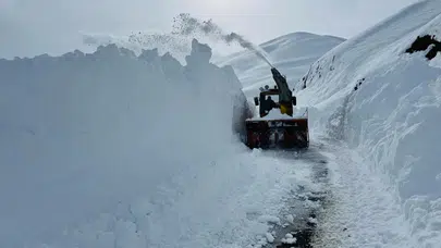 Muş'ta bugün hava nasıl olacak? (19 Şubat 2026)