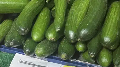 20 TL’den 129 TL’ye! Salatalık fiyatları sosyal medyayı salladı