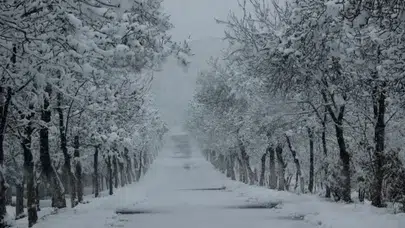 Diyarbakır’da okul yolu buz tuttu servisler zor anlar yaşadı