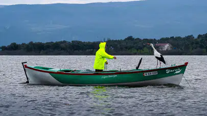 Yaren Leylek Bu Yıl da Kayığa Kondu, 15 Yıllık Dostluk Devam Ediyor