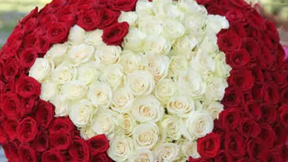 Sevgililer Günü Gül Fiyatları 2026: Tek Gül, Kırmızı Gül, İthal Gül Kaç TL Oldu?