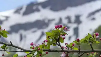 Bahar geliyor! 2026’nın üçüncü cemresi toprağa düşüyor