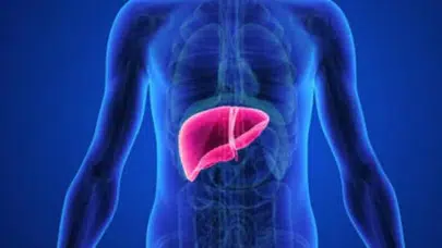 KARACİĞER BOYUTU 160 MM NEDİR? Normal mi, Sağlık Durumu ve Riskleri Nelerdir?