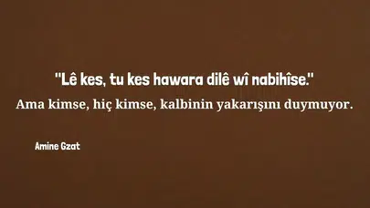 KÜRTÇE SÖZLER! Kürtçe aşk sözleri ve Kürtçe özlü sözler Türkçe anlamlarıyla nasıl söylenir?