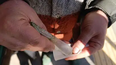 Prof. Dr. Altun Uyardı: Maraş Otu Dudak ve Dil Kanserine Yol Açabilir