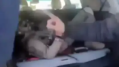 ABD’nin F-15’leri Vuruldu! Diz Çöktürülen Pilot Karesi Gündem Oldu