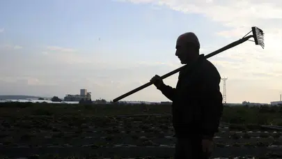 Tarım İşçilerinin Ücretleri Yükseldi! Günlük Ücret 1299 Liraya Çıktı