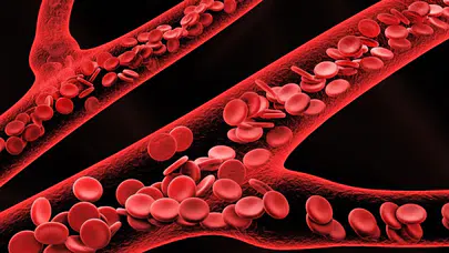 Bebeklerin kan analizinde ortaya çıkan kritik hemoglobin sinyali