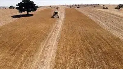 Kütahya’da Alternatif Ürün Rüzgarı: 2 Bin 500 Dekarda Çörek Otu Seferberliği