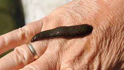 Evde görülen o karanlık rüya sabaha kadar uykusuz bıraktı