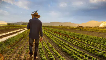 Bakan Yumaklı açıkladı: Çiftçilere dev destek ödemesi!