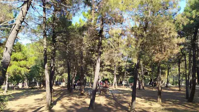 YUMRUKAYA PİKNİK ALANI NERDE? Yumrukaya Piknik Alanı Ücretli mi, Ulaşım Nasıl, Olanaklar Neler, Harita Linki Var mı?