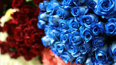 BU YIL ANNELER GÜNÜ HANGİ GÜN! Mayısın İkinci Pazarı 2026'da Ne Zaman?