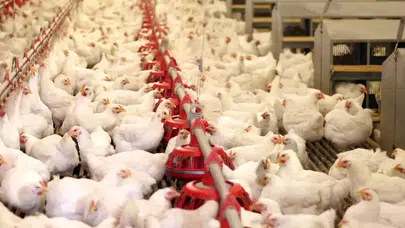 Bir Dönemin Devi İcrada! Lades Markası 42 Milyon TL Bedelle Listede