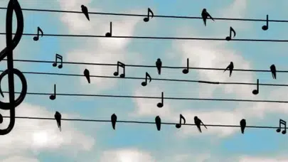 GULA ÇİYA SÖZLERİ TÜRKÇE! Şahê Bedo Gula Çiya Şarkı Sözleri ve Türkçe Anlamı, Çevirisi Ne?