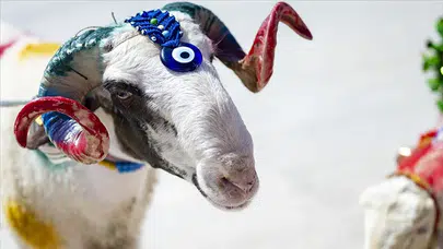 Bayram tatili planları şimdiden yapılmaya başladı!